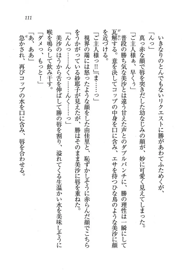メイドなります ! ～おしおき