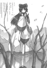 (C62) [Kamogawaya (Kamogawa Tanuki)] Daishizen no Oshioki Desu 4 (Samurai Spirits)