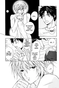 The Rabbit in the House