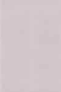 (C59) [Cheese-iri Kamaboko-dou (Mako Cube)] Hikari Mania (Digimon Adventure 02)