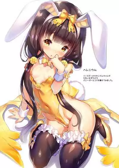 Lovely Flower Collection