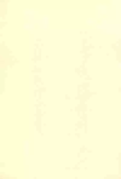 Moudoku no Melody o Anata no Kuchi ni Nejikonde ageru