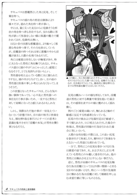 Monster Girl Encyclopedia Succubus Notebook