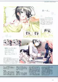 Sakura Sakura Visual Fan Book