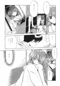 [Paradise City (Various)] AsuRei (Neon Genesis Evangelion)