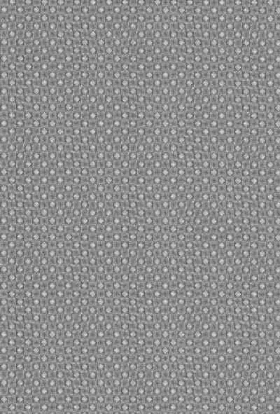 (Shota Scratch 13) [Kowmeiism (Kasai Kowmei)] Mikawa no Taishou[Chinese]