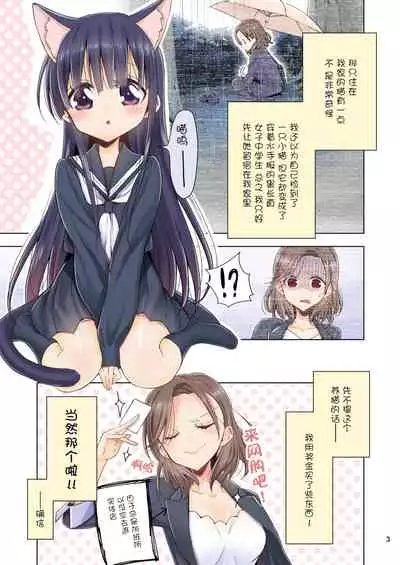 OL-san ga Neko o Hirou Hanashi. Vol.2