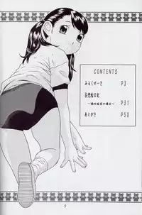 (C63) [Momonga Club (Hayashibara Hikari)] Mousou Enikki