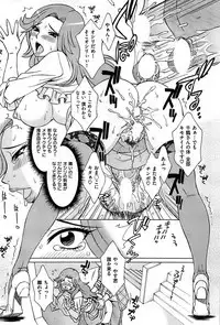 COMIC Shitsurakuten 2008-12