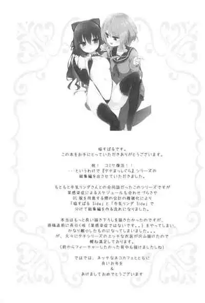 Tachi Masshigura Collection