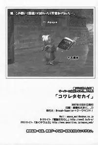 (C73) [Brough-Superior, Jikusando! (Tsujisaki Sou)] Kowareta Sekai (Final Fantasy XI)