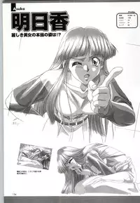 (一般画集) [F&C] バーチャコール シリーズ設定原画集