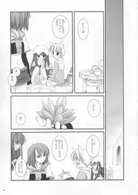 (C64) [Digital Lover (Nakajima Yuka)] D.L. Action 19 (Ragnarok Online)