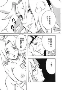 [Kishimoto Saisi] naruto ninja biography vol.07 (naruto) [chinese]