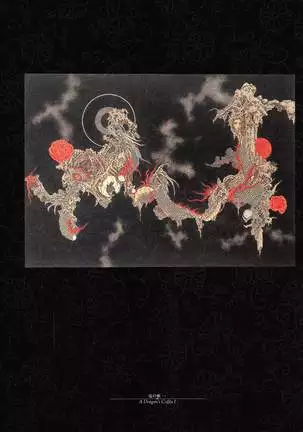 Takato Yamamoto - Rib of a Hermaphrodite