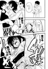 [yeahhhy tomii] Meconopsis