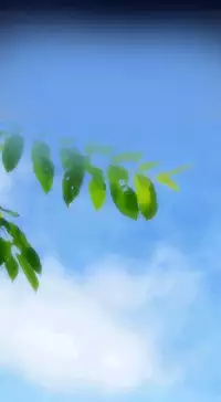 [Hong BanJang] Aharoo Ch.1-28 (English) (YoManga) (Ongoing)