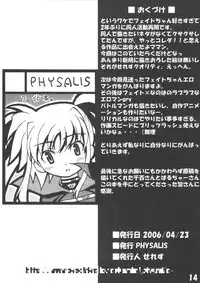 (SC31) [PHYSALIS (Seresu)] Lyrical Fate (Mahou Shoujo Lyrical Nanoha)