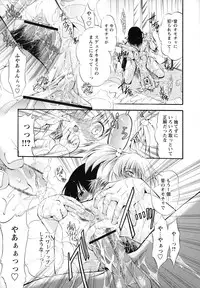 [Noraneko Nagaya] Horoama Omocha Hako