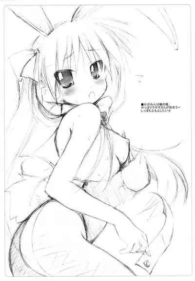 (SC37) [MINT BLUE (MOYURU/n)] Lucky Pan 2 (Lucky Star)