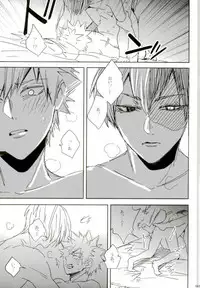 (C92) [APOLLO (JIRO)] My Hero Collection! (Boku no Hero Academia)