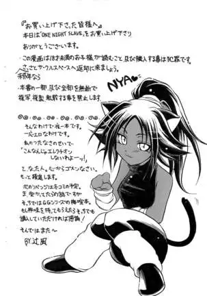 ONE NIGHT SLAVE