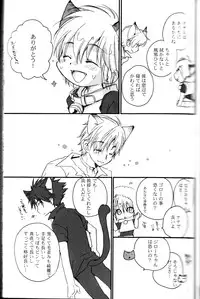 Peach Drop- Arco Iris