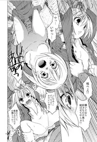 (SC61) [Toko-ya (HEIZO & Kitoen)] Saint Foire Festival 10 Matty