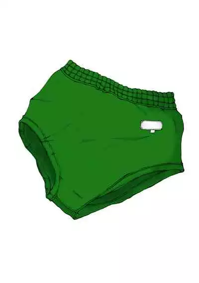 Kaizou Shoujo Miyama Satsuki