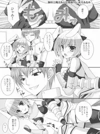 (C80) [ALMISM(Minatsuki Arumi),Ryuknigthia (Kiduki Erika),etc] Roman (Ragnarok Online)