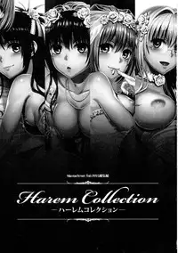 (C86) [Maniac Street (Oono, Sugaishi)] Harem Collection (To LOVE-Ru)