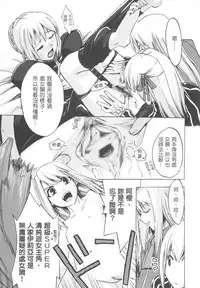 (C72) [Genshoku-Takesato-ya (Mimura Ryou, Takenoko Seijin)] Konjiki no Lion | 我們家的金獅子 (Fate/hollow ataraxia) [Chinese]
