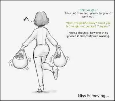 Oneesan and Yukkuri 6 (Boshiherondasu) - Translated