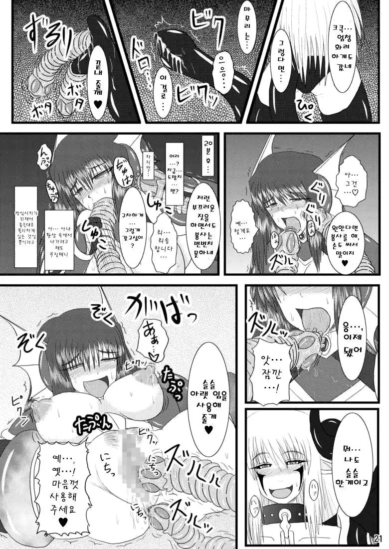 Shield Knight Elsain Vol.2 "Nightmare Agitator