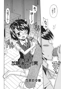 COMIC Himedorobou 2006-08