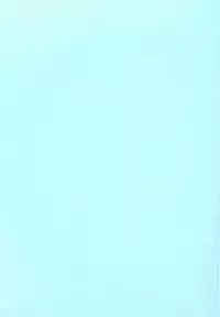 (SC15) [KuruGuru DNA (Various)] Zenda Shiro no Toriko (Digimon Adventure 02)