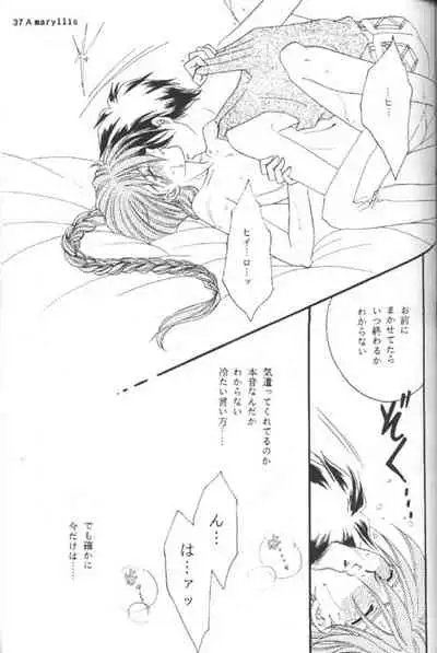 [Youkai Club (Hazuki Younosuke)] Amaryllis (Gundam Wing)