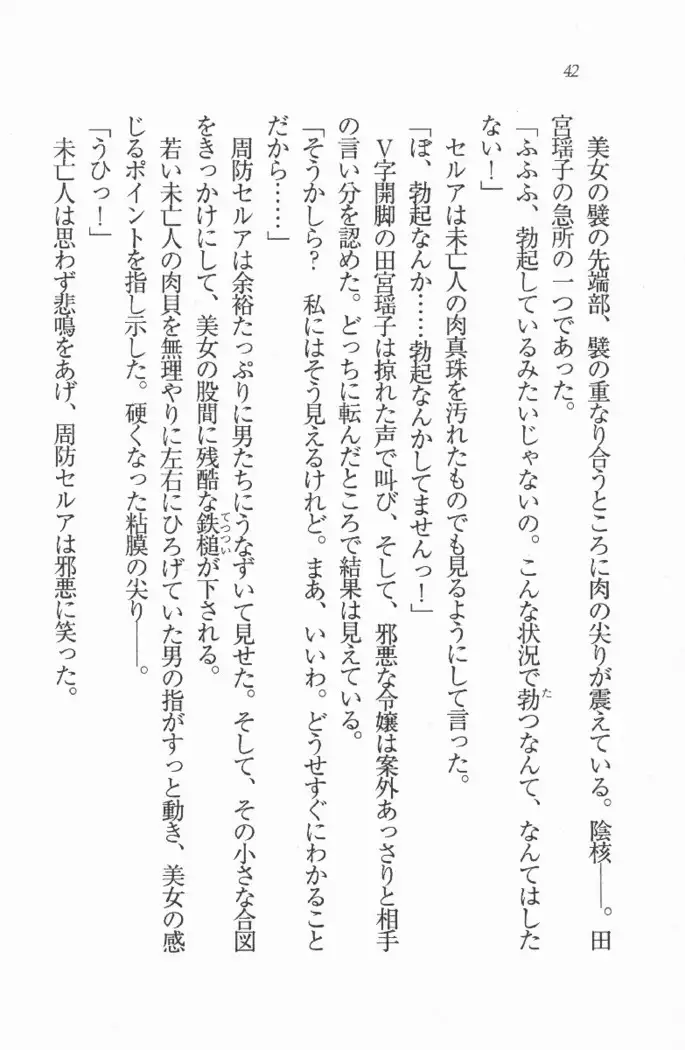 メイド喫茶 猫の隠れ家