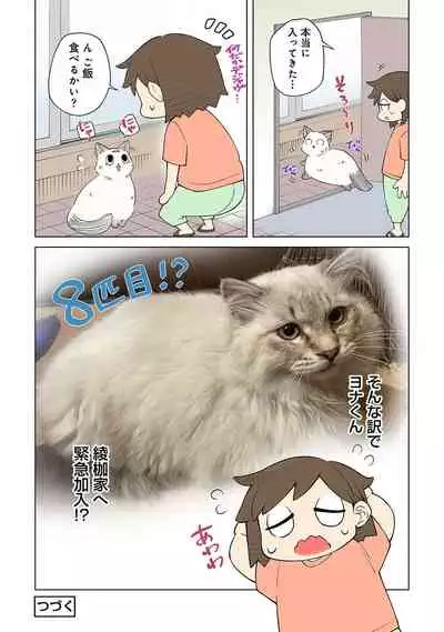 COMIC Ananga Ranga Vol. 84