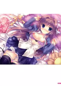 [Yukie] MOEOH Selection Flower Flower Yukie Gashuu