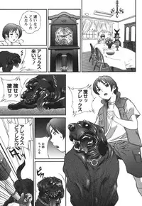 COMIC Himedorobou 2006-08