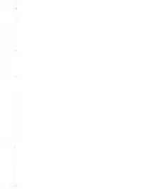 [Shimao Kazu] Flower