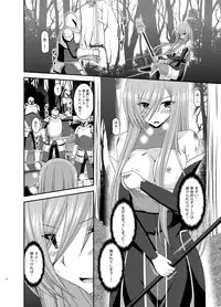 [valssu (Charu)] Melon ga Chou Shindou! R9 (Tales of the Abyss) [Digital]