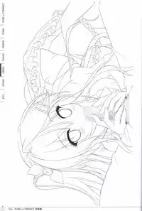 Pure x Connect illustration art book