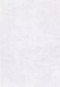 (C65) [Studio Boxer (Various)] Ho.He.To 28 (Detective Conan)