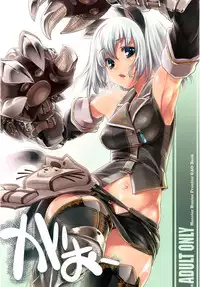 (C78) [Fujiya Honten (Thomas)] Hunter's Bible (Monster Hunter) [English] [FUKE]