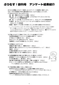 [Purimusu! Junbi Iinkai (Various)] Purimusu! Dai 2-gou [Digital]