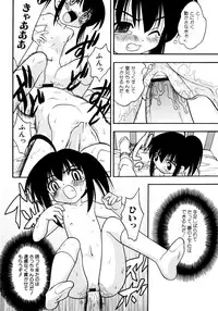 [yeahhhy tomii] Meconopsis