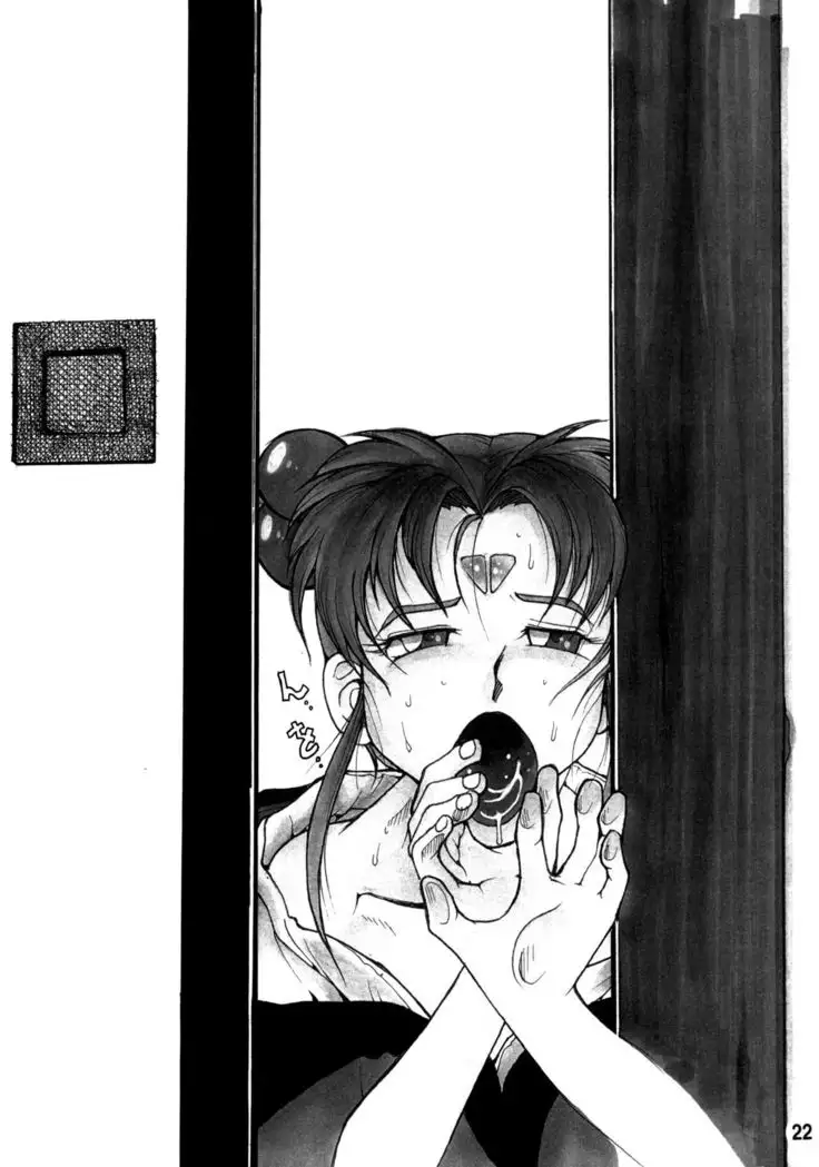 Tenchi Musou! In Shade