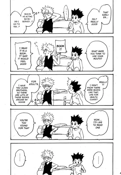 (C93) [Watagashi Maker (Tomiko)] Wakage no Itari | Verdant Youth (Hunter x Hunter) [English] {Chin²}